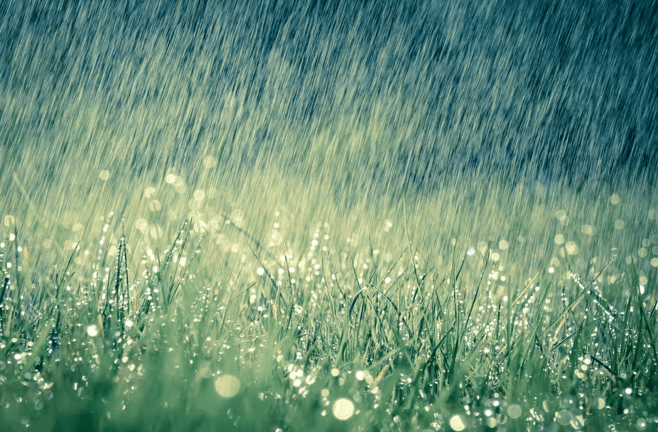 Blessings in disguise